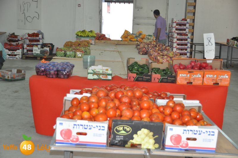 setona2y 830 (1).JPG